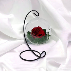 Trandafir Criogenat Rosu in Glob de Sticla Suspendat, Dia. 12cm - Kdeco.ro