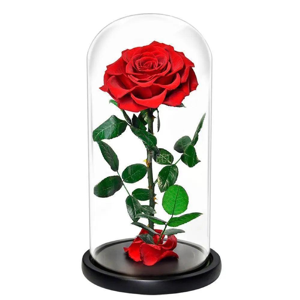 Trandafir Criogenat Bonita Roșu cu diametru de 9,5 cm în cupolă elegantă de sticlă 12x25 cm, cadou decorativ de lux pentru femei