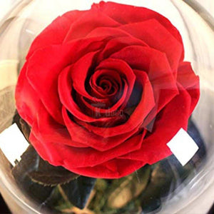 Trandafir Criogenat rosu Ø6,5cm in cupola sticla 12x25cm - Kdeco.ro