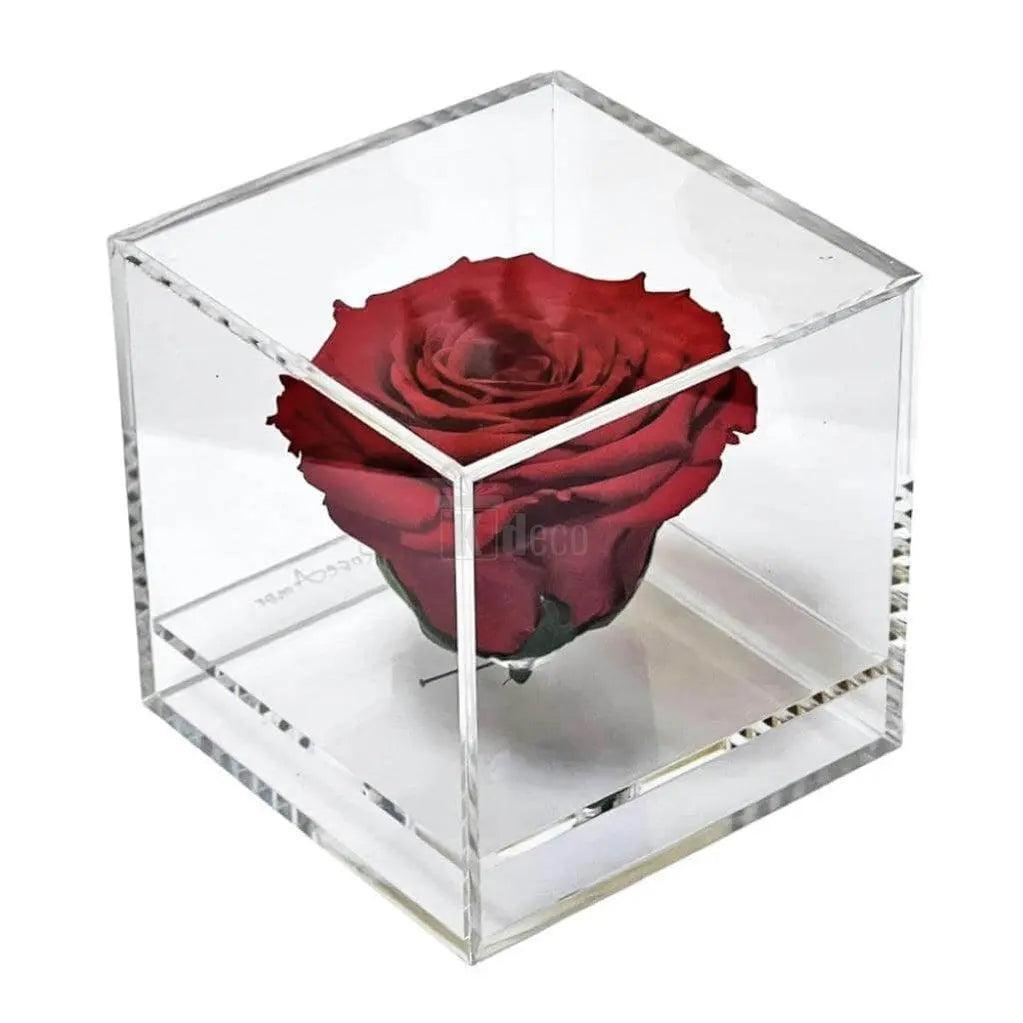 Trandafir Criogenat rosu Ø6cm in cutie transparenta 9x9x9cm - Kdeco.ro