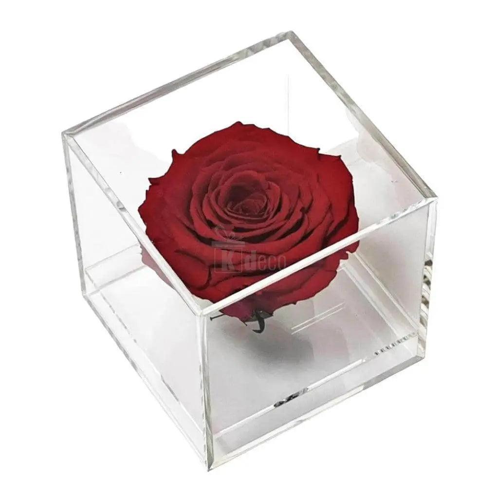 Trandafir Criogenat rosu Ø6cm in cutie transparenta 9x9x9cm - Kdeco.ro