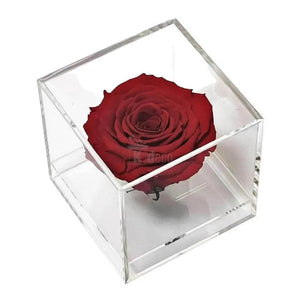 Trandafir Criogenat rosu Ø6cm in cutie transparenta 9x9x9cm - Kdeco.ro