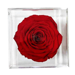 Trandafir Criogenat rosu Ø6cm in cutie transparenta 9x9x9cm - Kdeco.ro