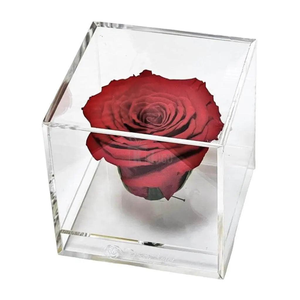 Trandafir Criogenat rosu Ø6cm in cutie transparenta 9x9x9cm - Kdeco.ro