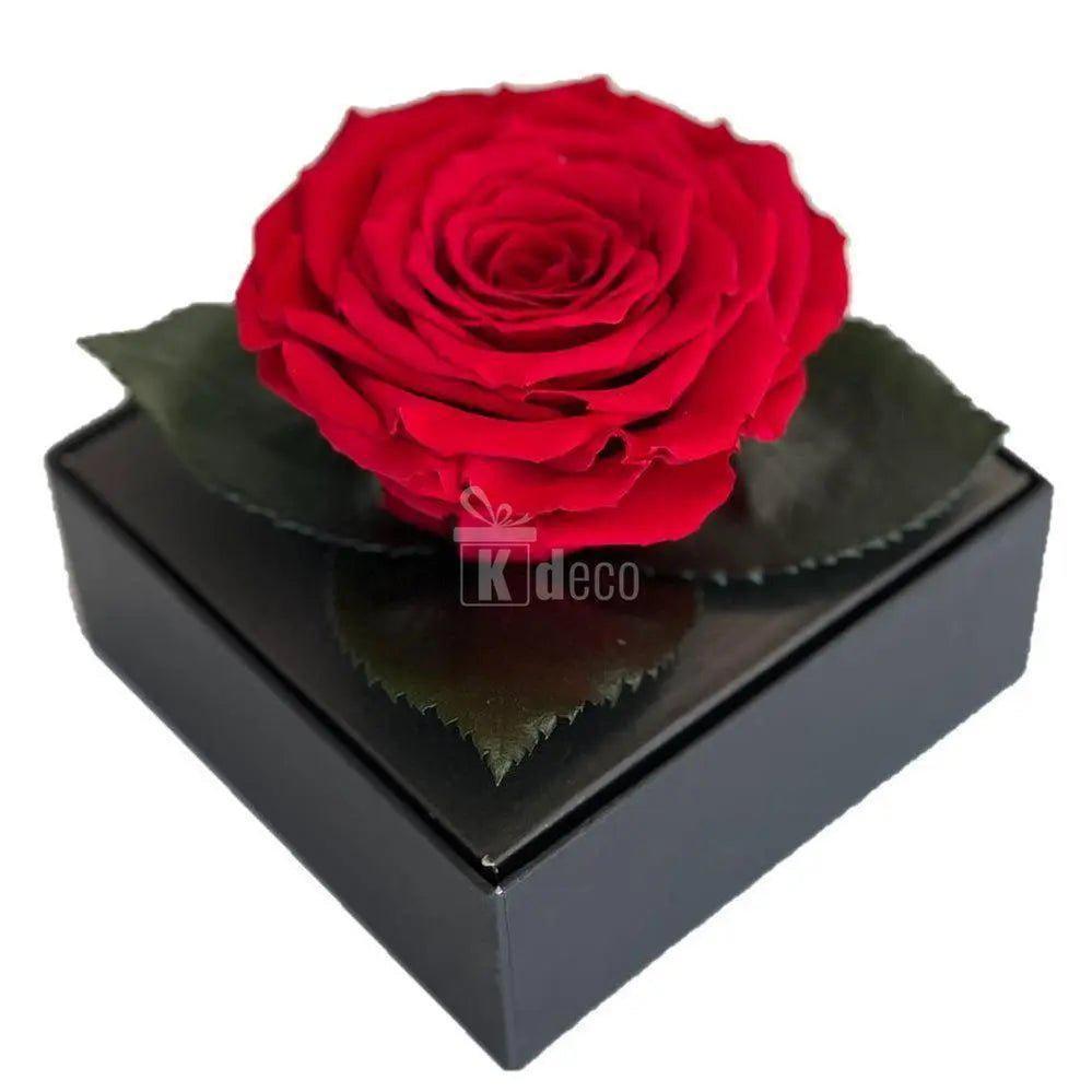 Trandafir Criogenat rosu Ø7-8cm in cutie cadou 10x10x11cm - Kdeco.ro