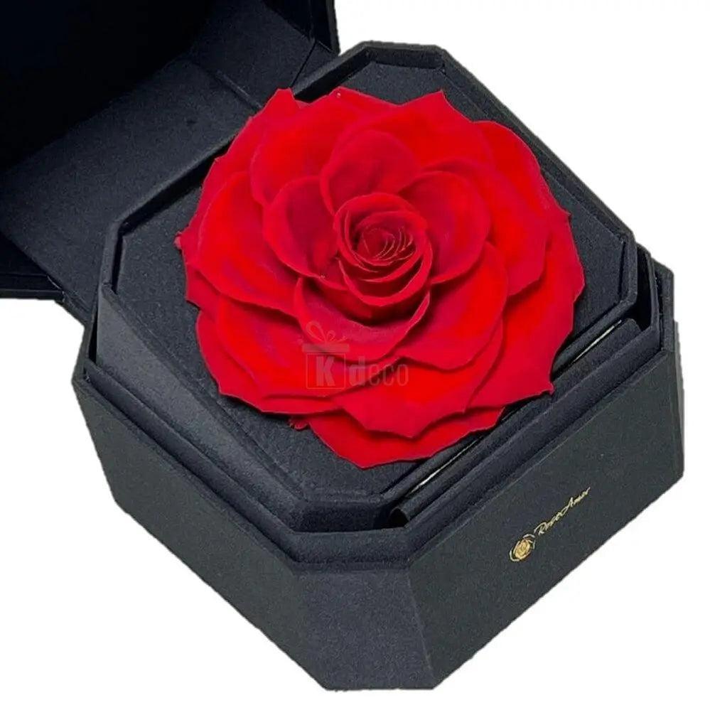 Trandafir Criogenat rosu Ø9-9,5cm in cutie cadou 13x13x10,5cm - Kdeco.ro