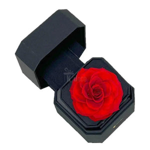 Trandafir Criogenat rosu Ø9-9,5cm in cutie cadou 13x13x10,5cm - Kdeco.ro