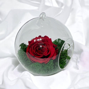 Trandafir Criogenat Rosu XL in Glob de Sticla 12cm - Livrare Rapida - Kdeco.ro