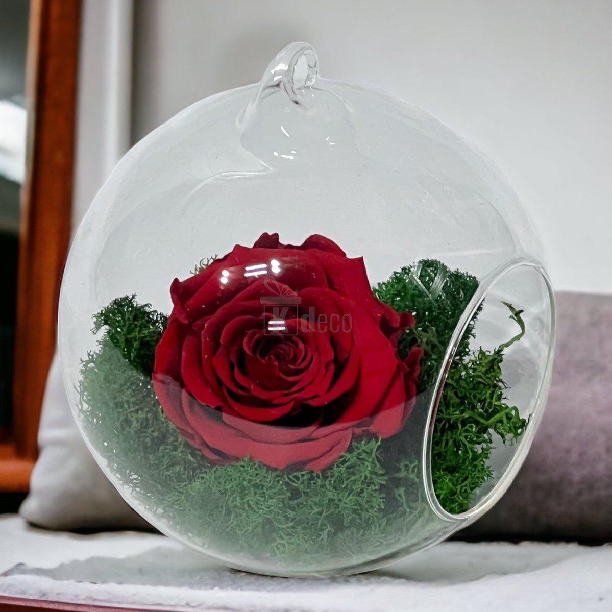 Trandafir Criogenat Rosu XL in Glob de Sticla 12cm - Livrare Rapida - Kdeco.ro