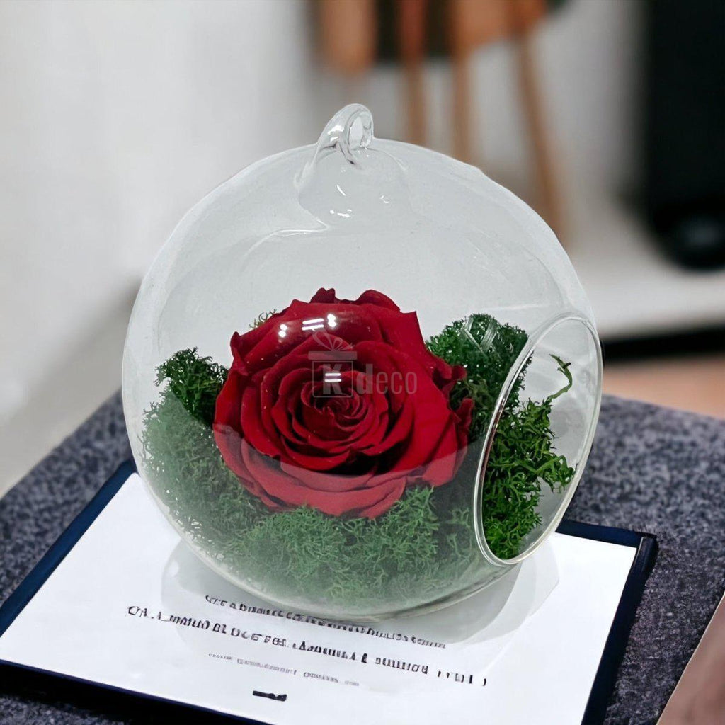 Trandafir Criogenat Rosu XL in Glob de Sticla 12cm - Livrare Rapida - Kdeco.ro
