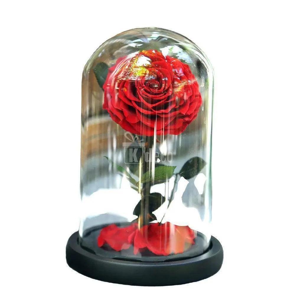 Trandafir Criogenat rosu XXL Ø9,5cm in cupola 15x25cm - Kdeco.ro