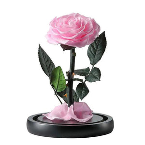 Trandafir Criogenat roz bella Ø8cm in cupola sticla 12x25cm - Kdeco.ro