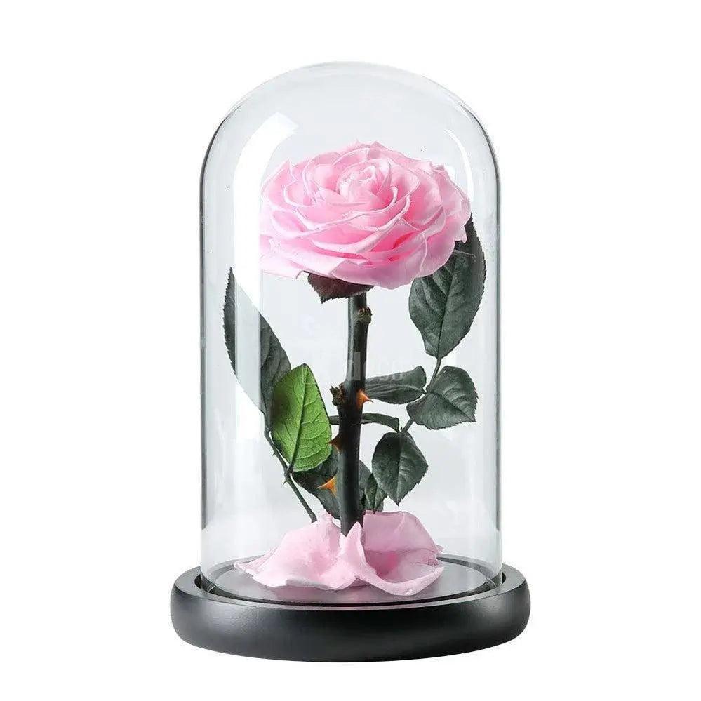 Trandafir Criogenat roz bella Ø8cm in cupola sticla 12x25cm - Kdeco.ro