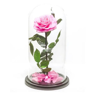Trandafir Criogenat roz bonita Ø9,5cm in cupola 15x25cm - Kdeco.ro