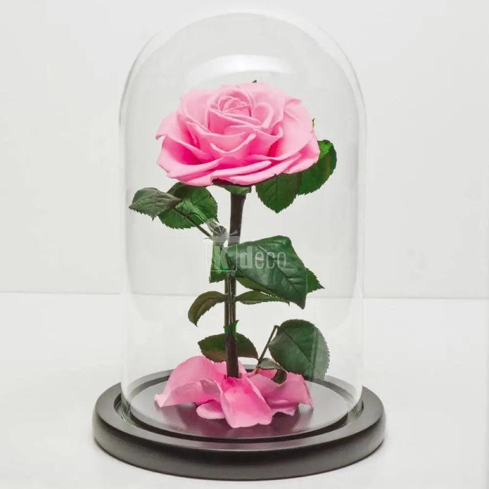 Trandafir Criogenat roz Bonita Ø9,5cm in cupola mare de sticla - Kdeco.ro