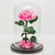 Trandafir Criogenat roz Bonita Ø9,5cm in cupola mare de sticla - Kdeco.ro