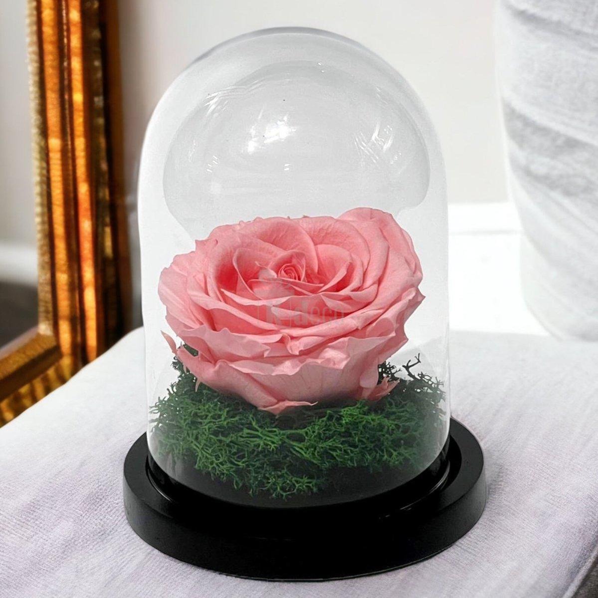 Trandafir Criogenat Roz Premium în Cupolă de Sticlă, 8cm - Kdeco.ro