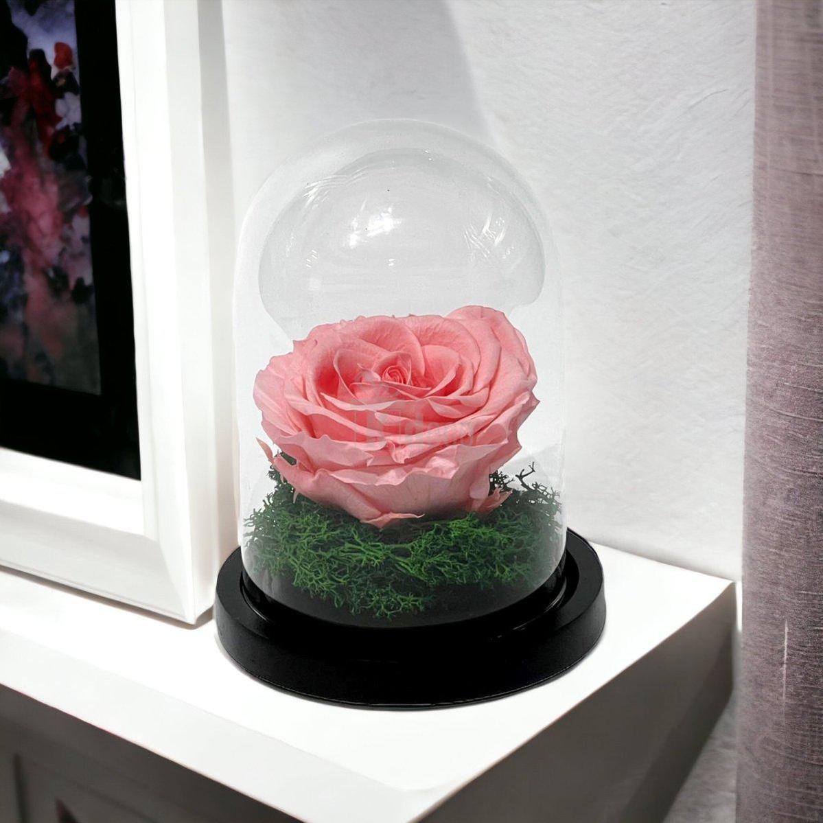 Trandafir Criogenat Roz Premium în Cupolă de Sticlă, 8cm - Kdeco.ro