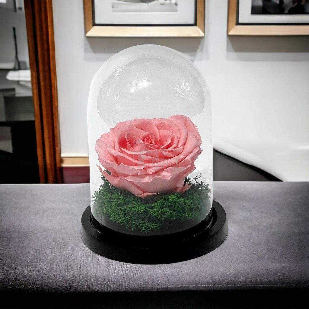 Trandafir Criogenat Roz Premium în Cupolă de Sticlă, 8cm - Kdeco.ro