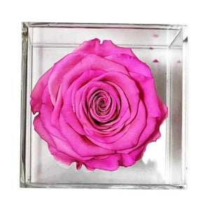 Trandafir Criogenat roz Ø6cm in cutie transparenta 9x9x9cm - Kdeco.ro