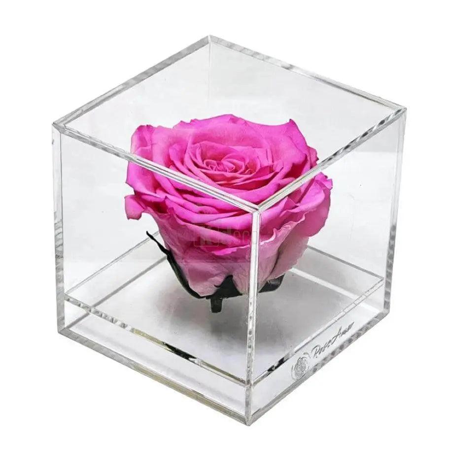 Trandafir Criogenat roz Ø6cm in cutie transparenta 9x9x9cm - Kdeco.ro