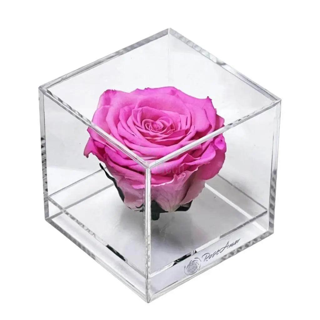 Trandafir Criogenat roz Ø6cm in cutie transparenta 9x9x9cm - Kdeco.ro