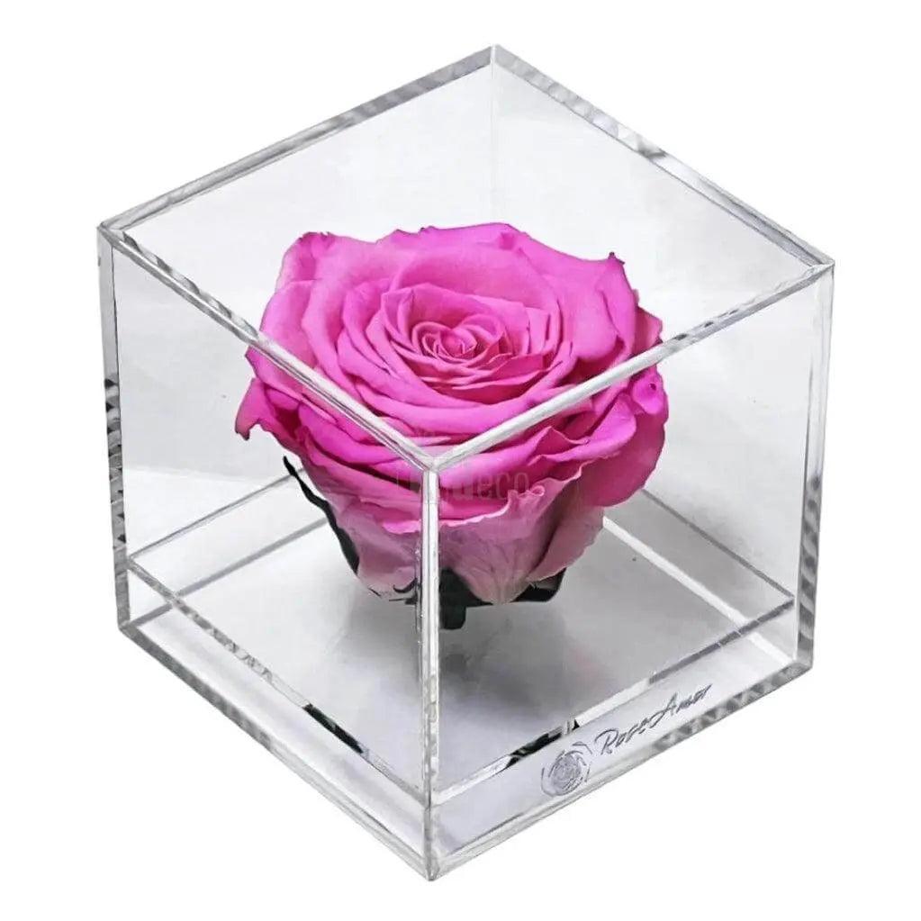 Trandafir Criogenat roz Ø6cm in cutie transparenta 9x9x9cm - Kdeco.ro