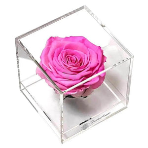 Trandafir Criogenat roz Ø6cm in cutie transparenta 9x9x9cm - Kdeco.ro