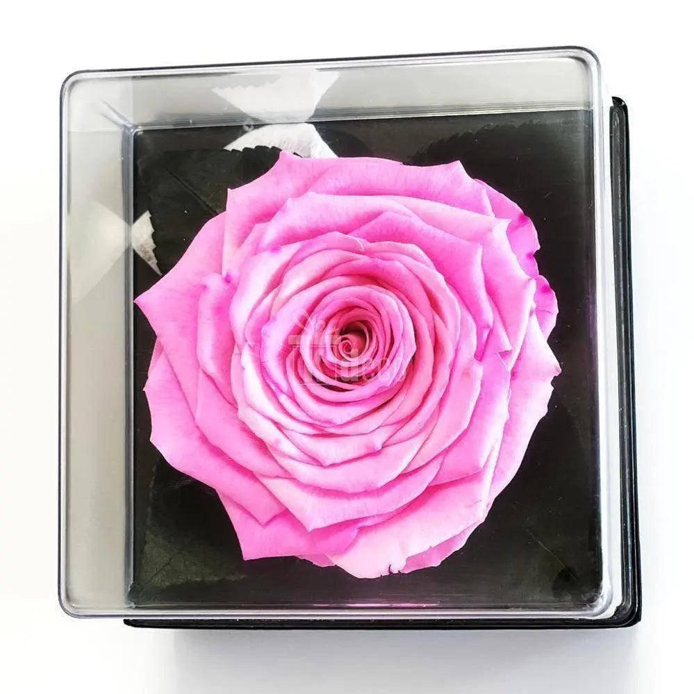 Trandafir Criogenat roz Ø7-8cm in cutie cadou 10x10x11cm - Kdeco.ro