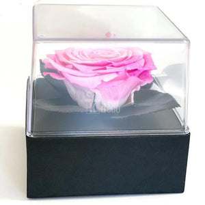 Trandafir Criogenat roz Ø7-8cm in cutie cadou 10x10x11cm - Kdeco.ro