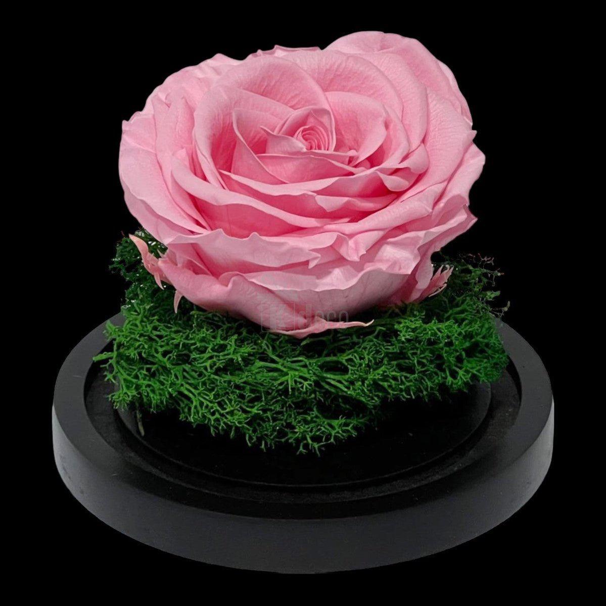 Trandafir Criogenat Roz Premium în Cupolă de Sticlă, 8cm - Kdeco.ro