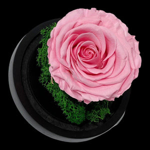 Trandafir Criogenat Roz Premium în Cupolă de Sticlă, 8cm - Kdeco.ro