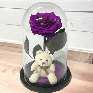 Trandafir Criogenat Șic Bonita Purpuriu în Cupolă de Sticlă 15x25cm cu Ursuleț - Kdeco.ro