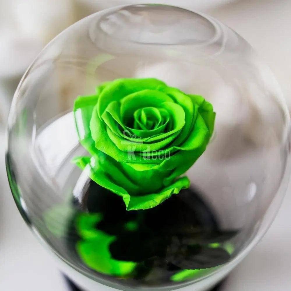 Detaliu de sus al Trandafirului Criogenat Verde Deschis XL în cupolă de sticlă, cadou durabil și rafinat pentru orice ocazie specială.