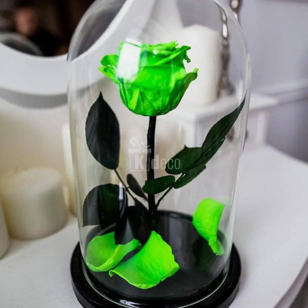 Aranjament floral cu Trandafir Criogenat Verde Deschis XL în cupolă de sticlă Ø6,5cm, perfect pentru cadouri elegante și memorabile.