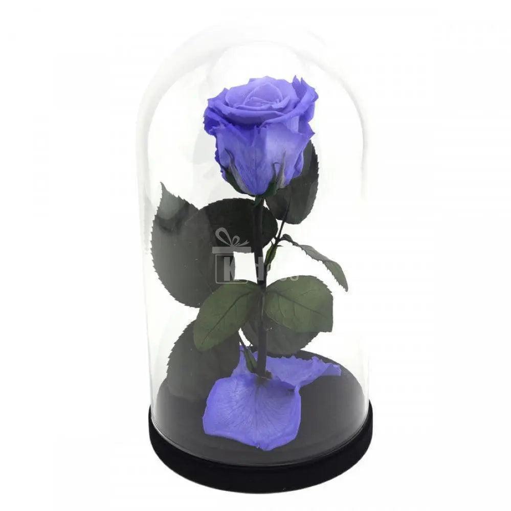 Aranjament floral cu Trandafir Criogenat Violet XL în cupolă de sticlă, ideal ca decor deosebit sau cadou special pentru femei.
