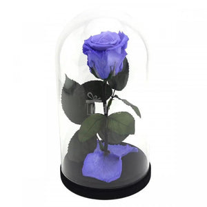 Trandafir Criogenat violet xl Ø6,5cm in cupola 10x20cm - Kdeco.ro