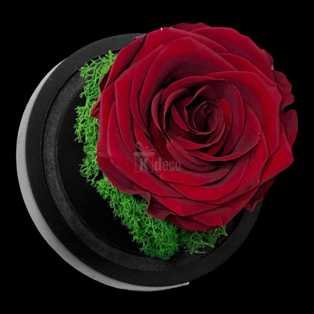 Trandafir Criogenat Premium Visiniu în Cupolă de Sticlă 8cm - Kdeco.ro