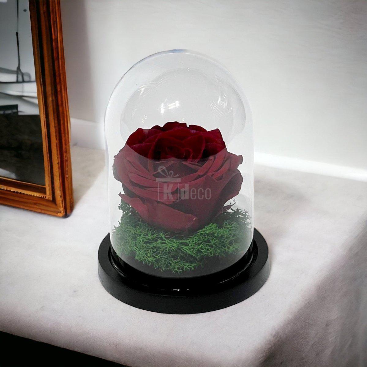 Trandafir Criogenat Premium Visiniu în Cupolă de Sticlă 8cm - Kdeco.ro