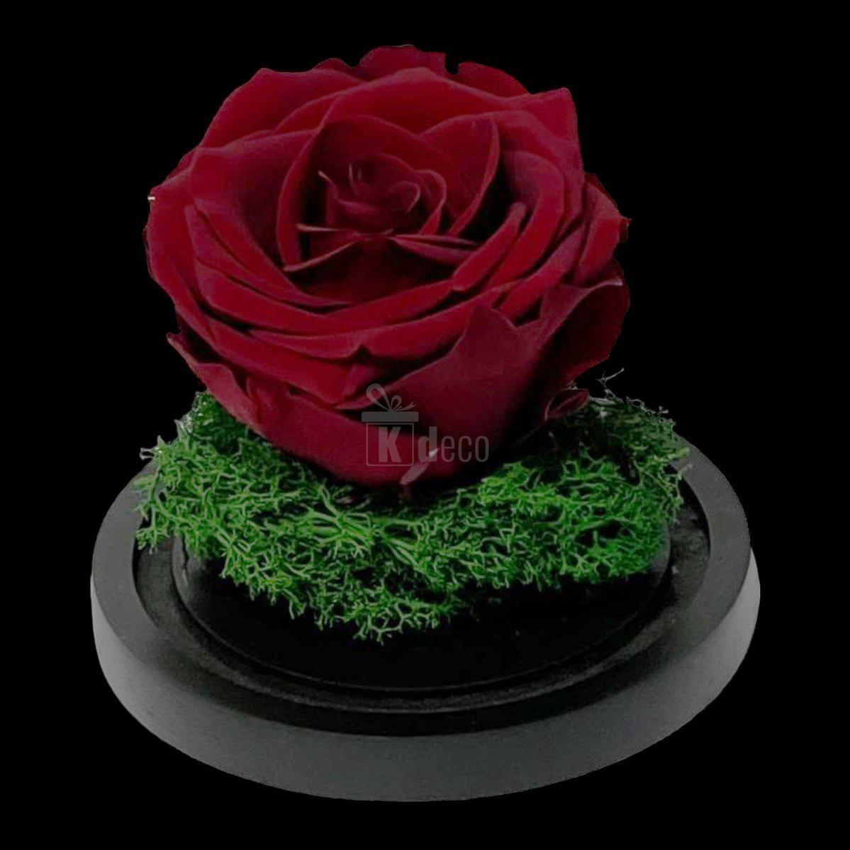 Trandafir Criogenat Premium Visiniu în Cupolă de Sticlă 8cm - Kdeco.ro