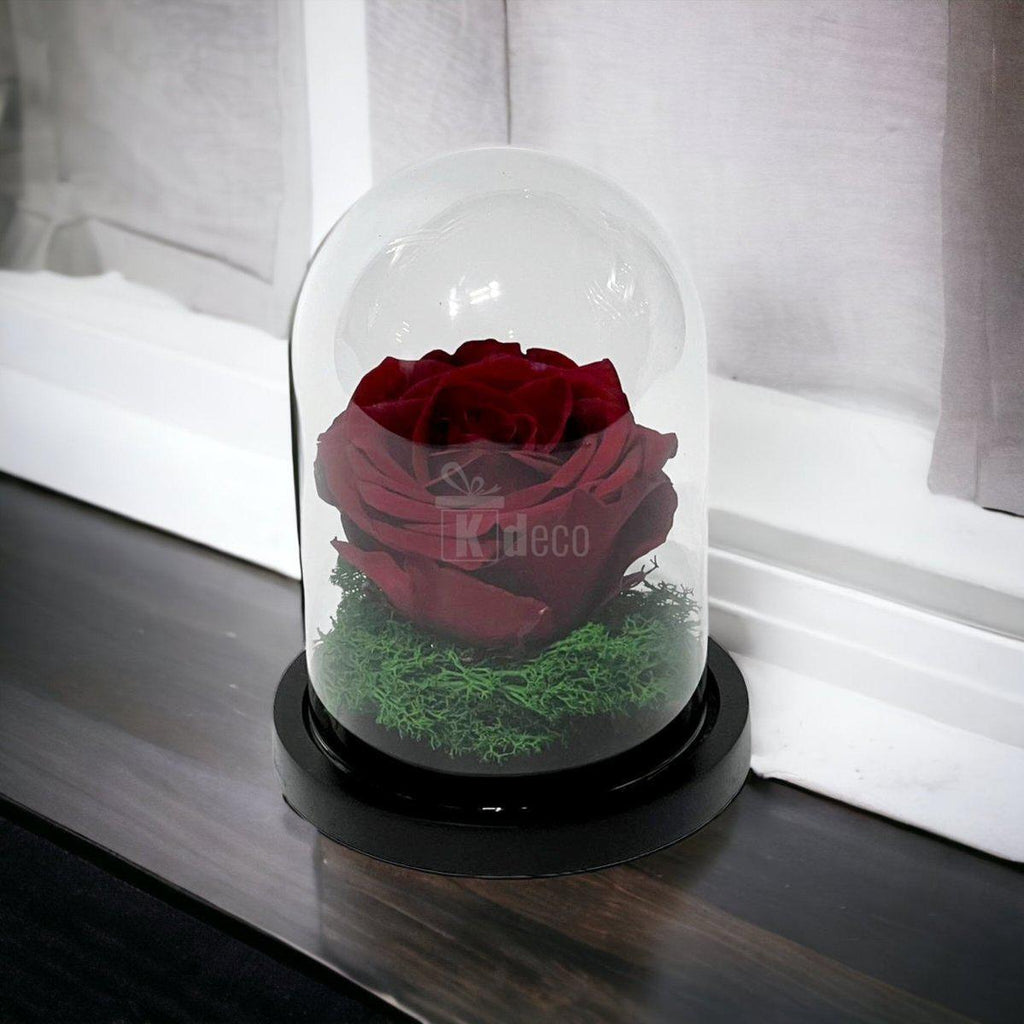 Trandafir Criogenat Premium Visiniu în Cupolă de Sticlă 8cm - Kdeco.ro