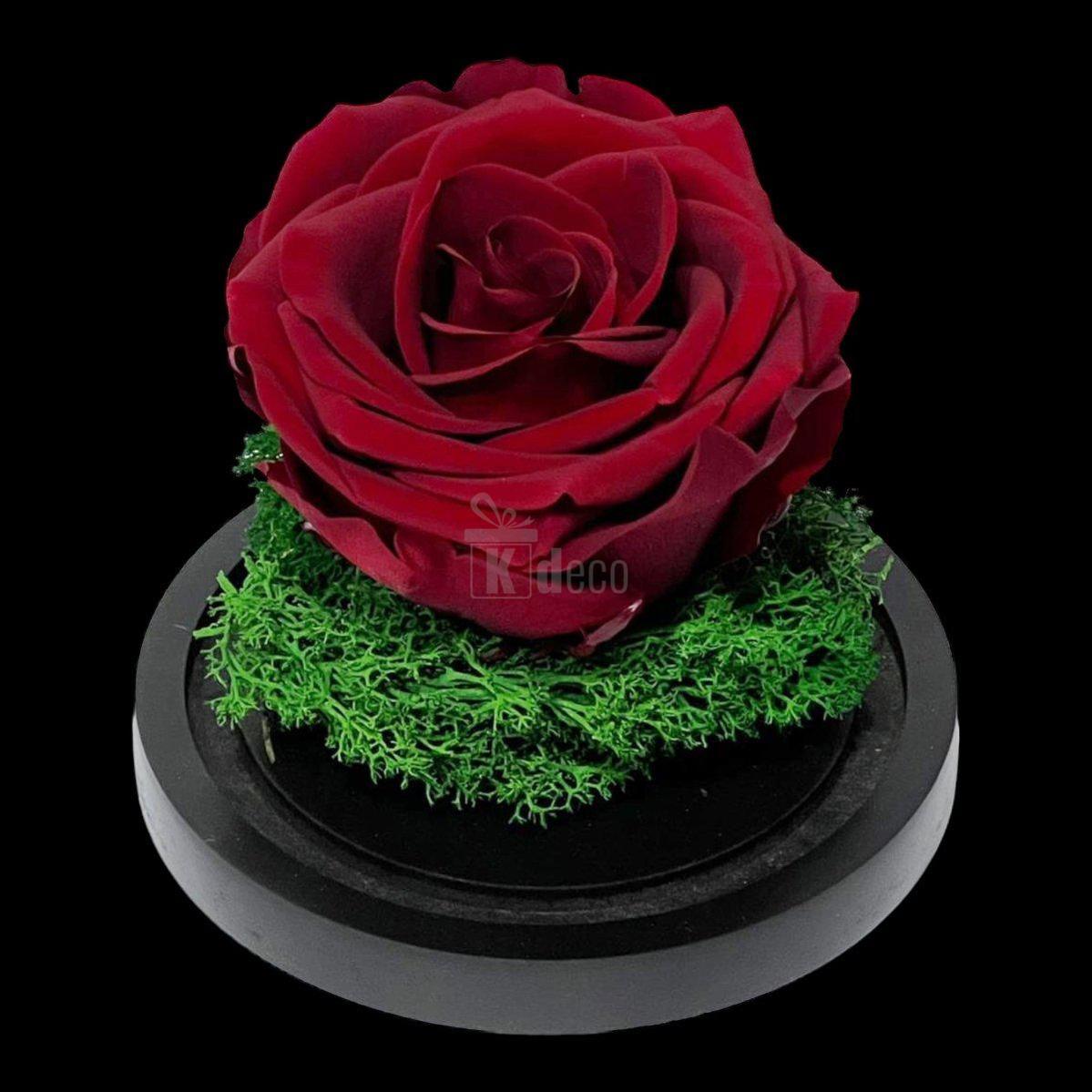 Trandafir Criogenat Premium Visiniu în Cupolă de Sticlă 8cm - Kdeco.ro