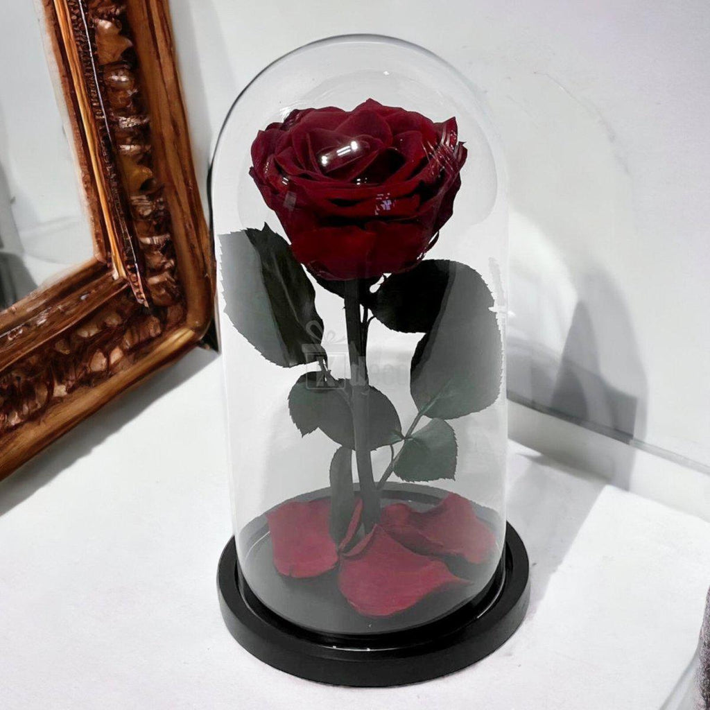 Trandafir Criogenat Visiniu Premium în cupolă de sticlă transparentă, simbol al dragostei eterne, perfect pentru cadouri speciale.
