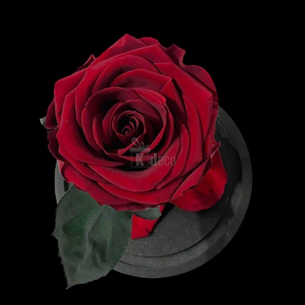 Detaliu de sus al Trandafirului Criogenat Visiniu Premium, cu petale bogate și frunze verzi, pe suport decorativ negru.