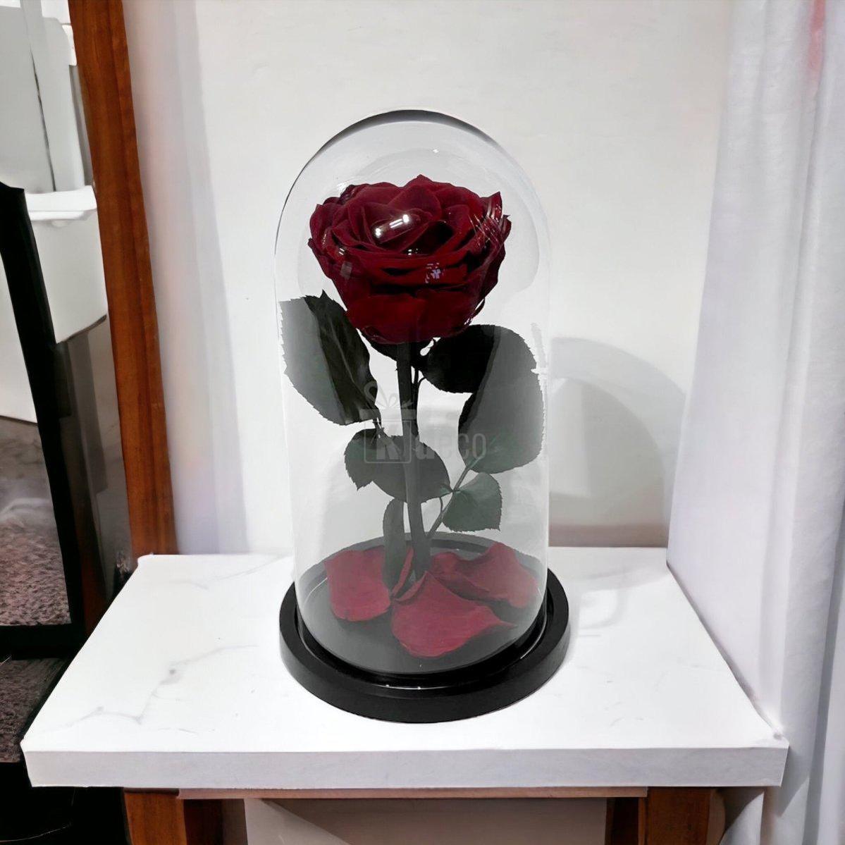 Trandafir Criogenat Visiniu Premium în cupolă de sticlă, expus pe o masă albă, cadou de lux pentru ocazii speciale.