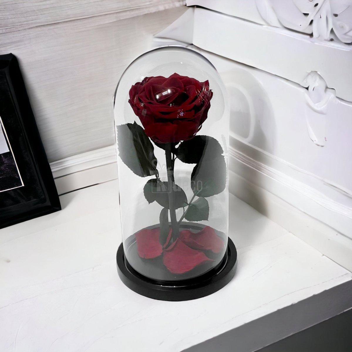 Trandafir Criogenat Visiniu Premium în cupolă de sticlă, decor elegant pentru dormitor sau birou, simbol al iubirii durabile.