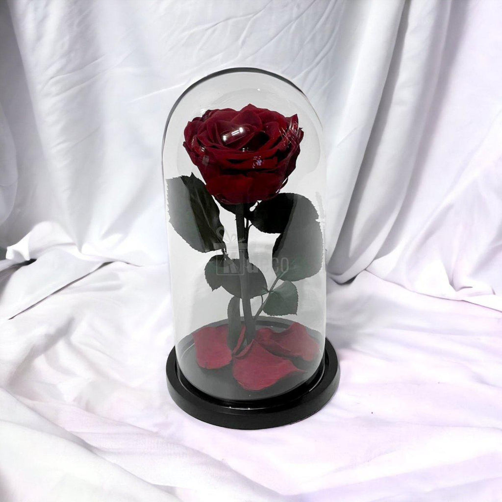 Trandafir Criogenat Visiniu Premium în cupolă de sticlă, pe fundal alb, cadou romantic ce durează până la 25 de ani.