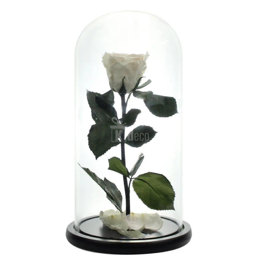 Trandafir Criogenat Alb XL în cupolă de sticlă pe suport de lemn, decor elegant și cadou perfect pentru persoana dragă, durabil și natural.