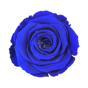 Trandafir Criogenat XL albastru Ø6,5cm in cupola 12x25cm - Kdeco.ro