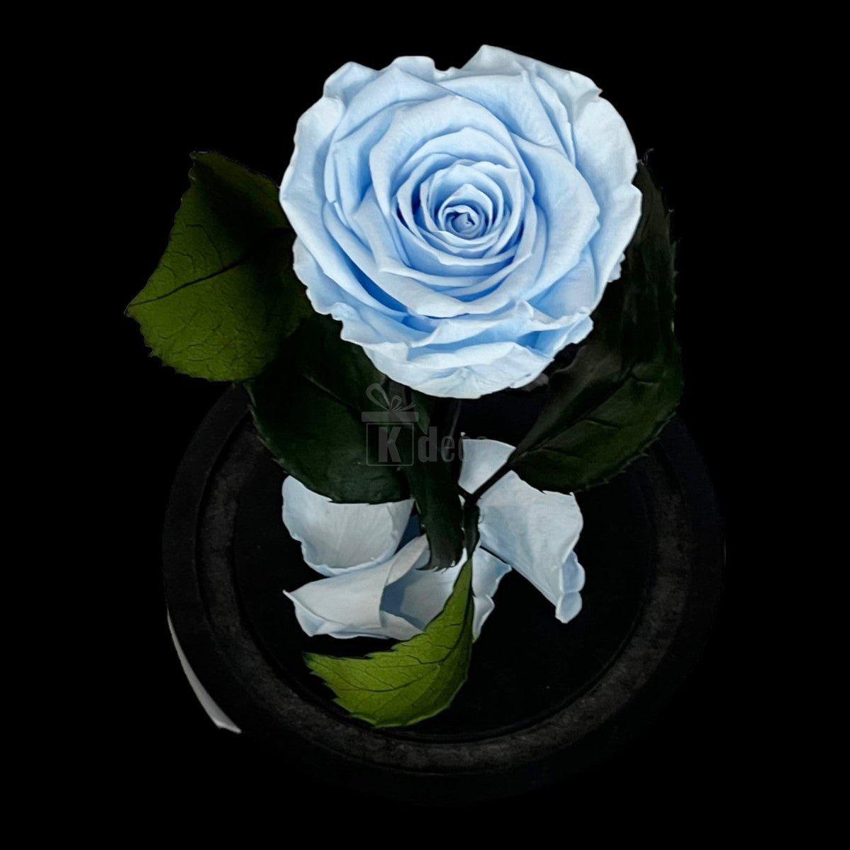 Trandafir Criogenat XL Bleu În Cupolă de Sticlă 10x20cm - Kdeco.ro